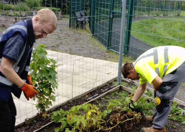 Blooming Brilliant! City & Guilds Success for Clients. 2 Horticulture clients weed a veg bed