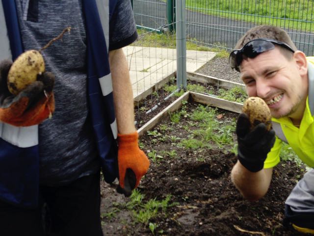 Blooming Brilliant! City & Guilds Success for Clients. 1 Client holds up a freshly dug potato