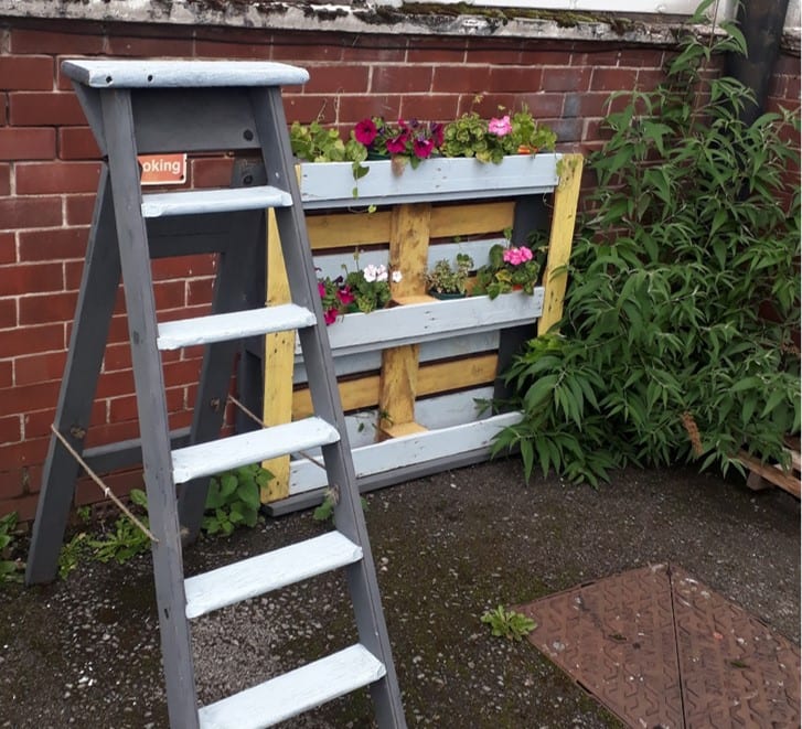 Tina Makes Great Progress at Prospect House 5 ladder flowers